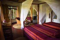 Bougainvillea Safari Lodge