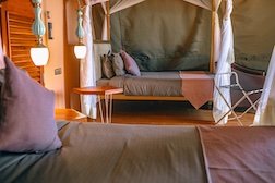 Ngorongoro Safari Lodge